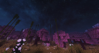 night with shaders