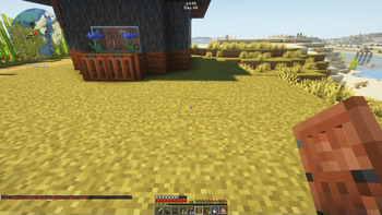 Cannot Place Unnamed