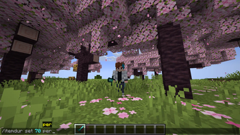 Item Durability Screenshot 1