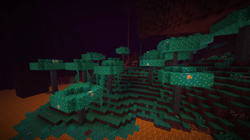 v1.2.0 - New Warped Fungi