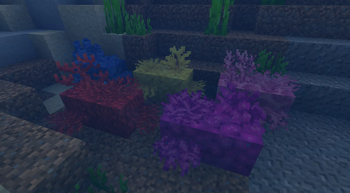 Living Coral Blocks