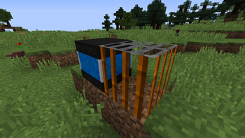 Filter and water cleaner