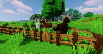 Horse Fence