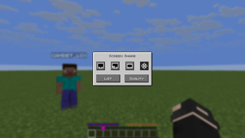 Voice Chat Screen Share — screenshot 1