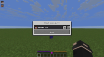 Voice Chat Screen Share — screenshot 4