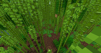 Bamboo Jungle