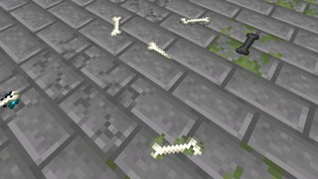 Bone Variants