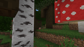 Roofed Forest