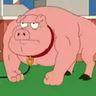 OINK!