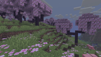 cherry grove biome while raining!
