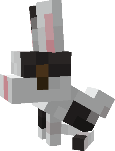 Baby Rabbit Model