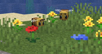 Bee