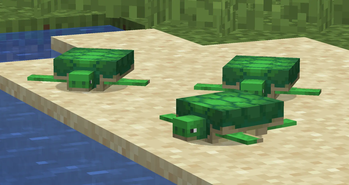 Turtle