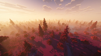 Sunset Forest (Biome)