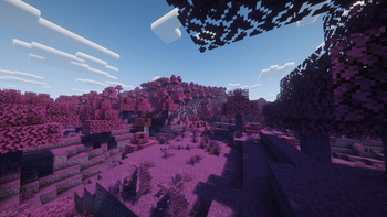 Under-Oak Forest (Biome)