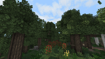 Forest