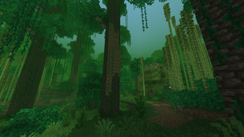 Jungle