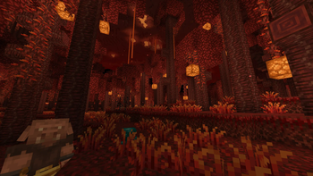 Nether