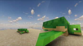 A regular sized turtle versus a King sized turtle.