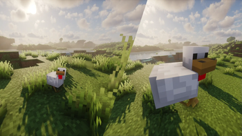 A regular sized chicken versus a King sized chicken.