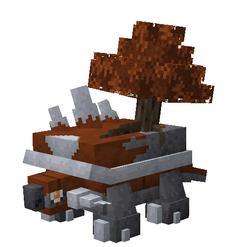 Maple (Shiny)