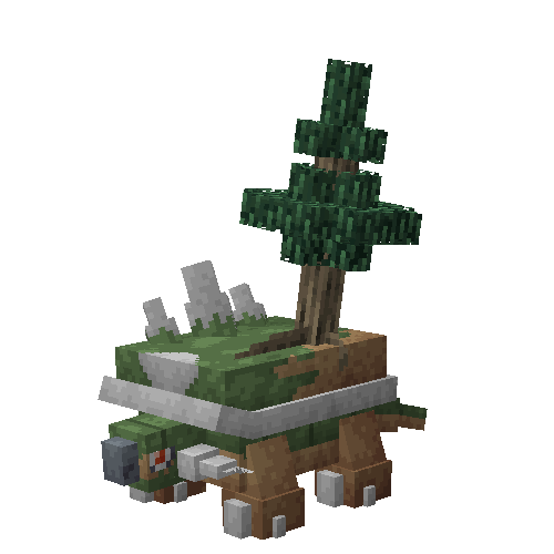 Fir