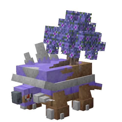 Jacaranda