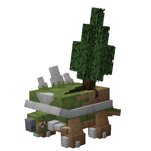 Cypress