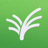 Physis logo