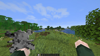 in game view
