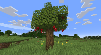 A Productive Apple Tree