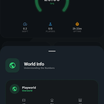 World Manager