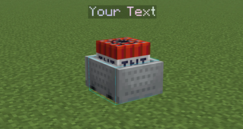 In-Game View