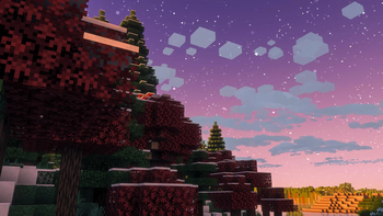 Starry Sky