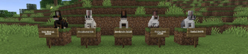 Rabbits