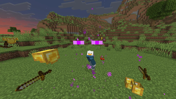 Invisible Mobs