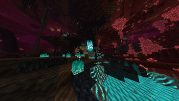 The Nether