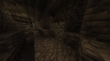 Without resource pack