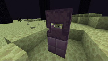 Shulker from inside