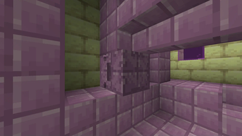 camouflage shulker