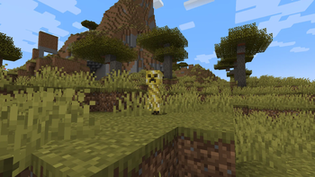 support creeper