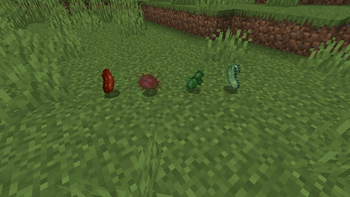mysterious pods