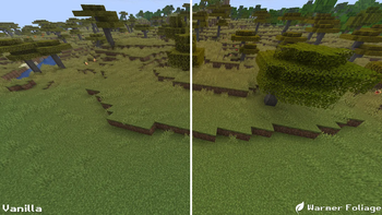 Vanilla & Warmer Foliage Comparison