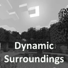 Dynamic Surroundings