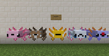 RFpack