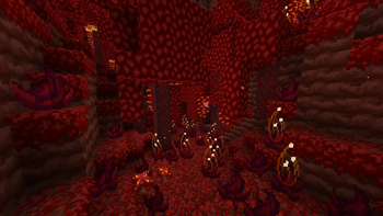 crimson forest