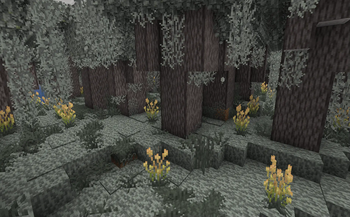 pale garden