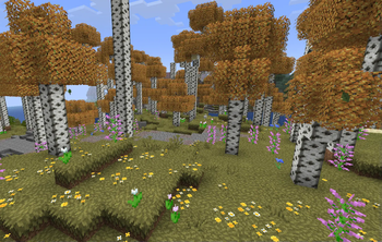 birch forest
