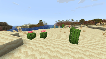 desert