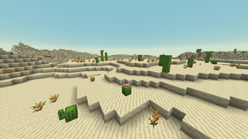 desert